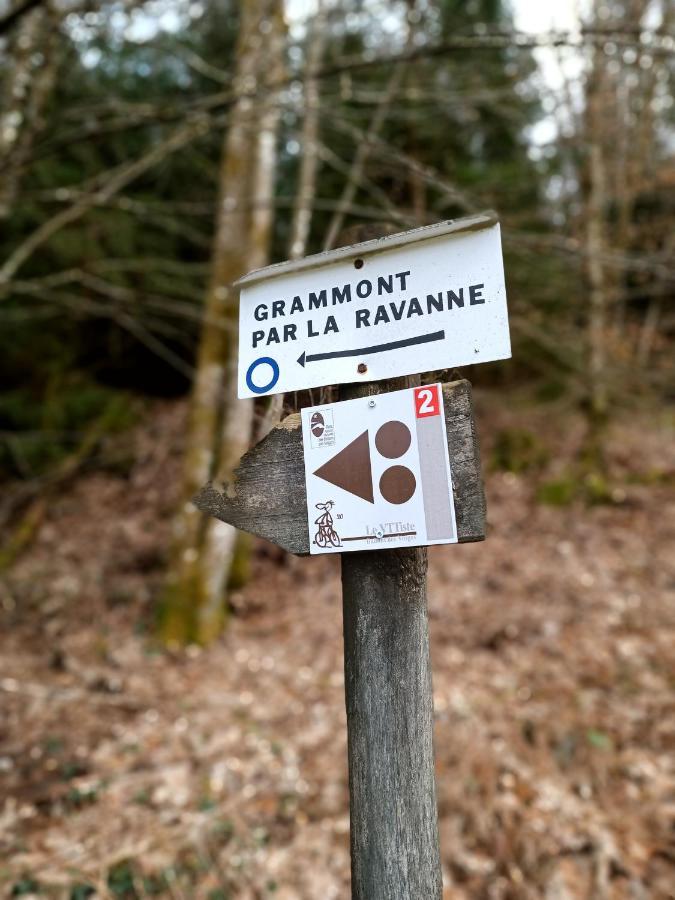 Gite De La Ravanne Ramonchamp ภายนอก รูปภาพ